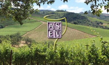 American Journal of Enology and Viticulture se abre