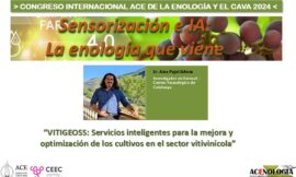 VITIGEOSS: Servicios Inteligentes para la mejora y optimización de los cultivos en el sector vitivinícola