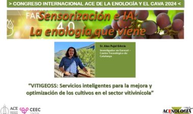 VITIGEOSS: Servicios Inteligentes para la mejora y optimización de los cultivos en el sector vitivinícola