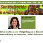 Sistemas multisensores inteligentes para la detección de gases volátiles y parámetros de calidad de los vinos