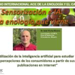 Utilización de la inteligencia artificial para estudiar las percepciones de los consumidores a partir de sus publicaciones en internet