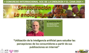 Utilización de la inteligencia artificial para estudiar las percepciones de los consumidores a partir de sus publicaciones en internet