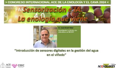 Introducción de sensores digitales en la gestión del agua en el viñedo